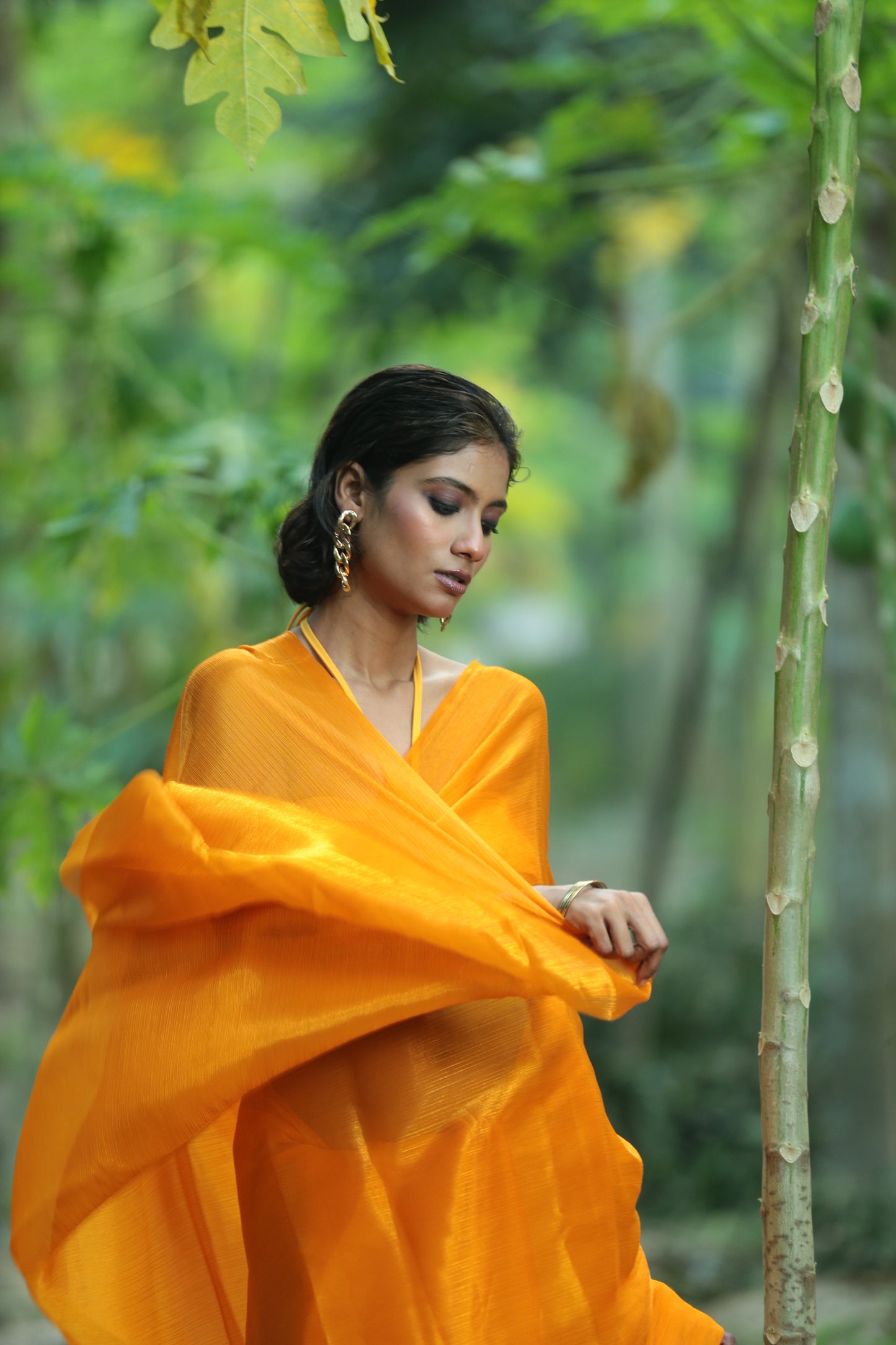 Tip Tip Barsa Paani - Tissue Saree