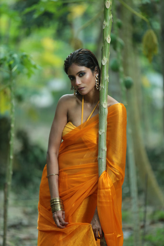 Tip Tip Barsa Paani - Tissue Saree
