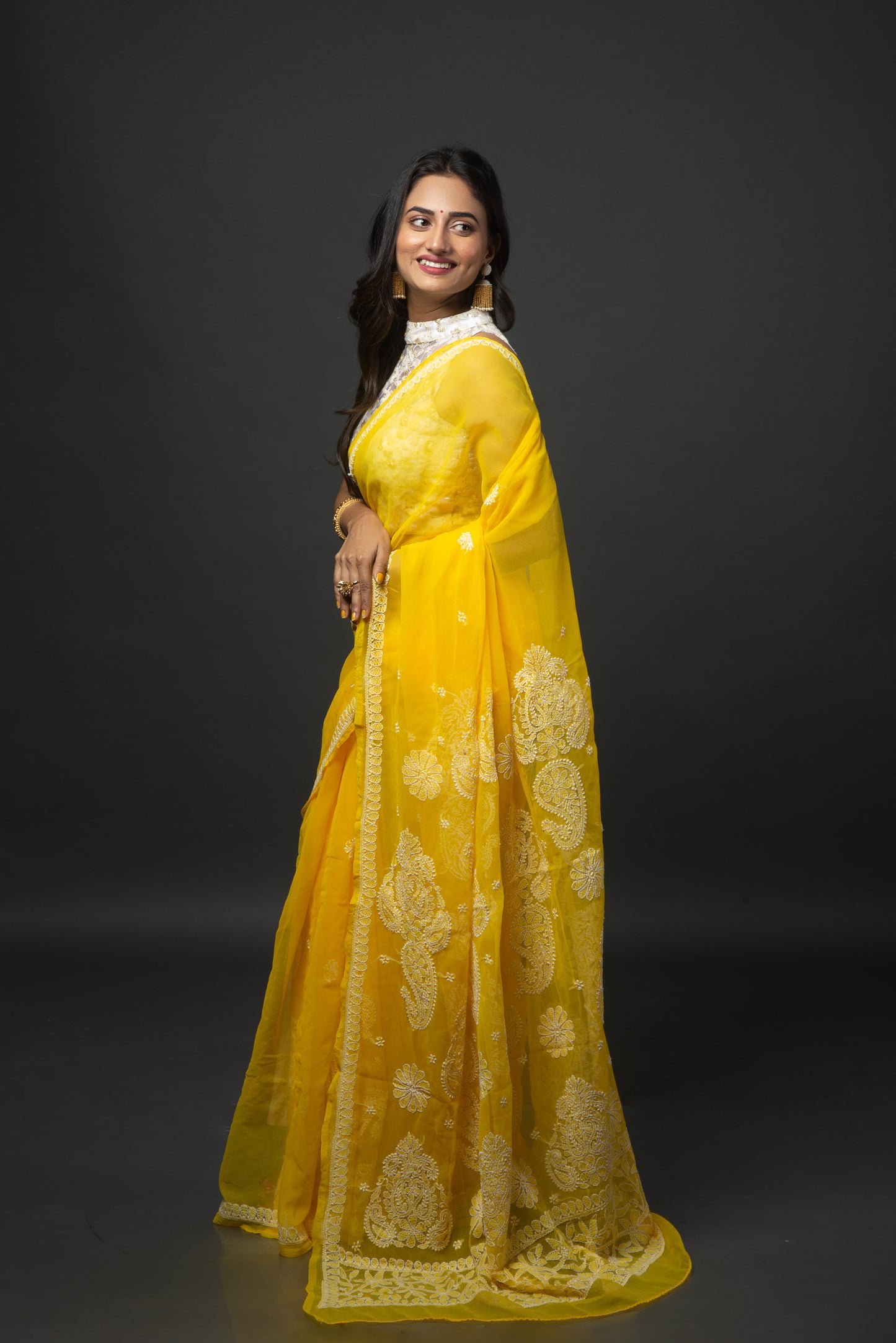 Tuscany Dreams Chikankari Saree