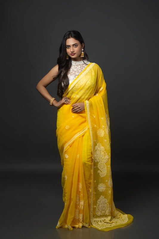 Tuscany Dreams Chikankari Saree
