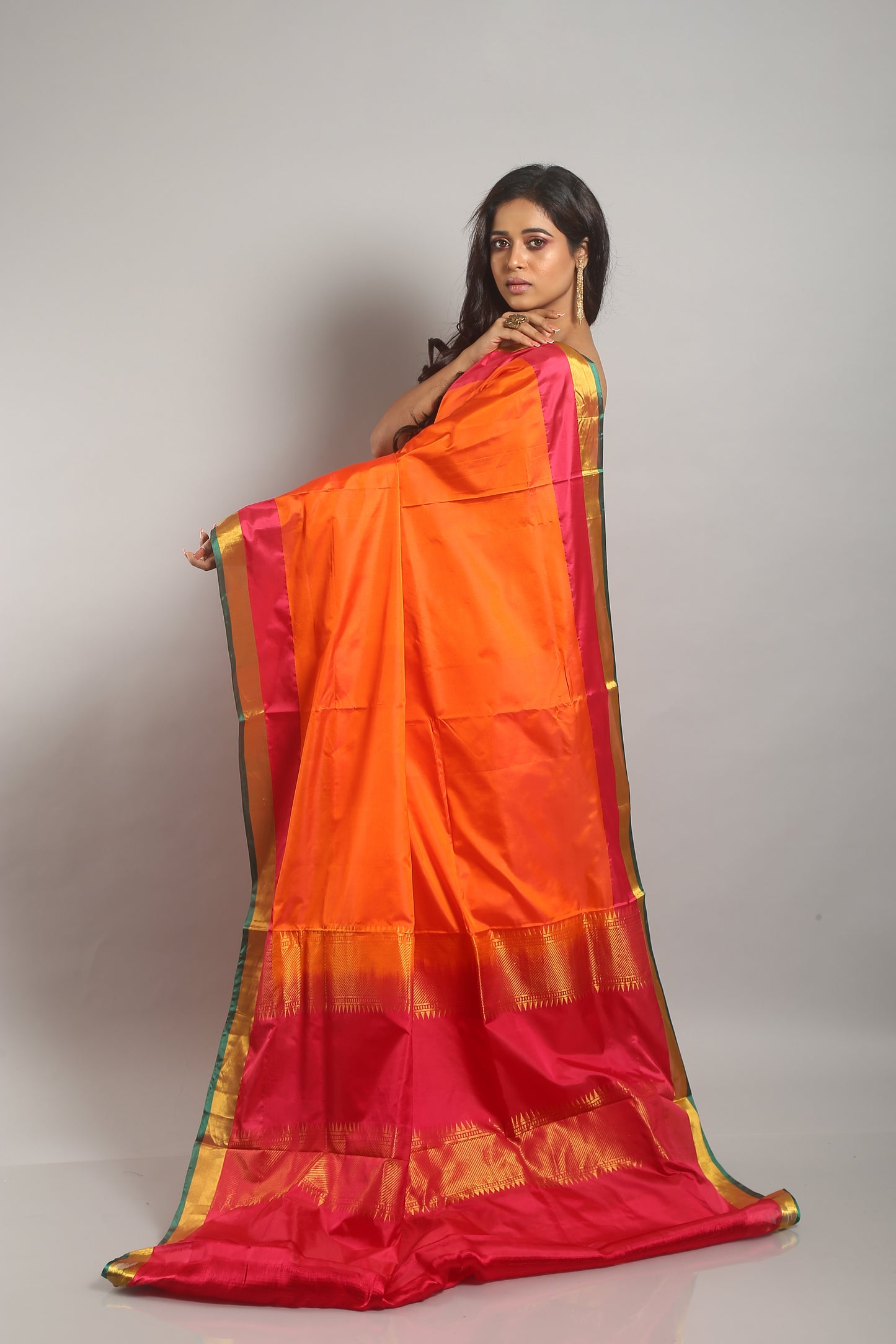 Vocal Titian Saree