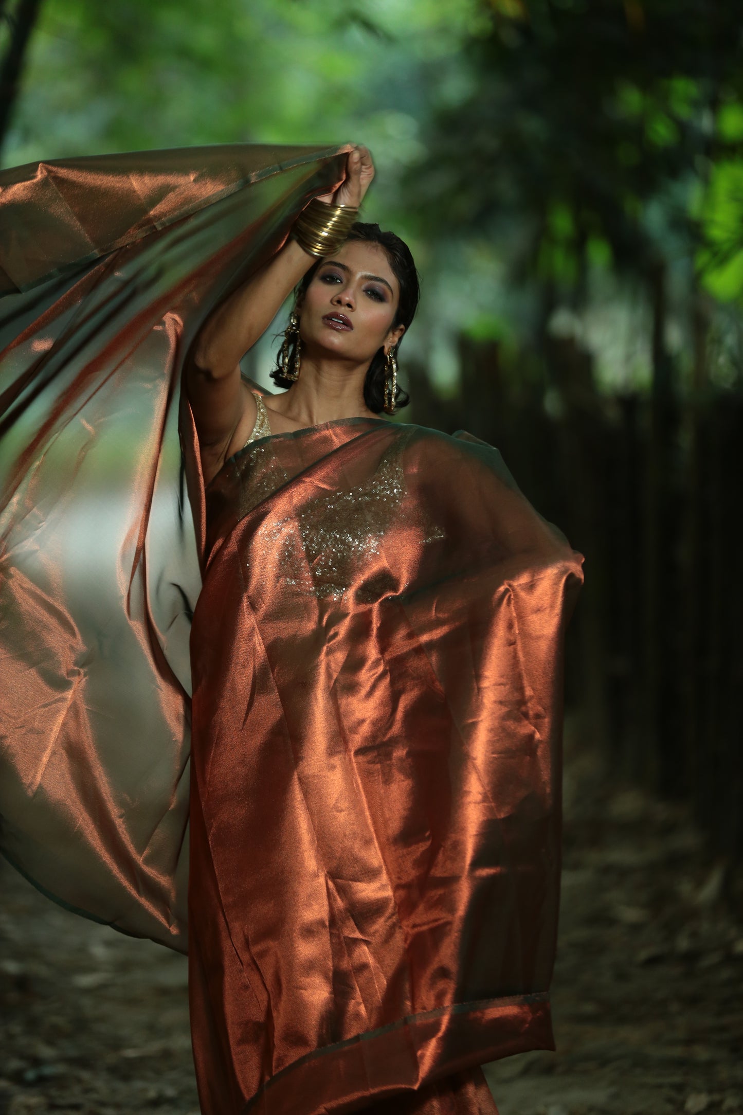 Zara Sa Jhoom Loon - Tissue Saree