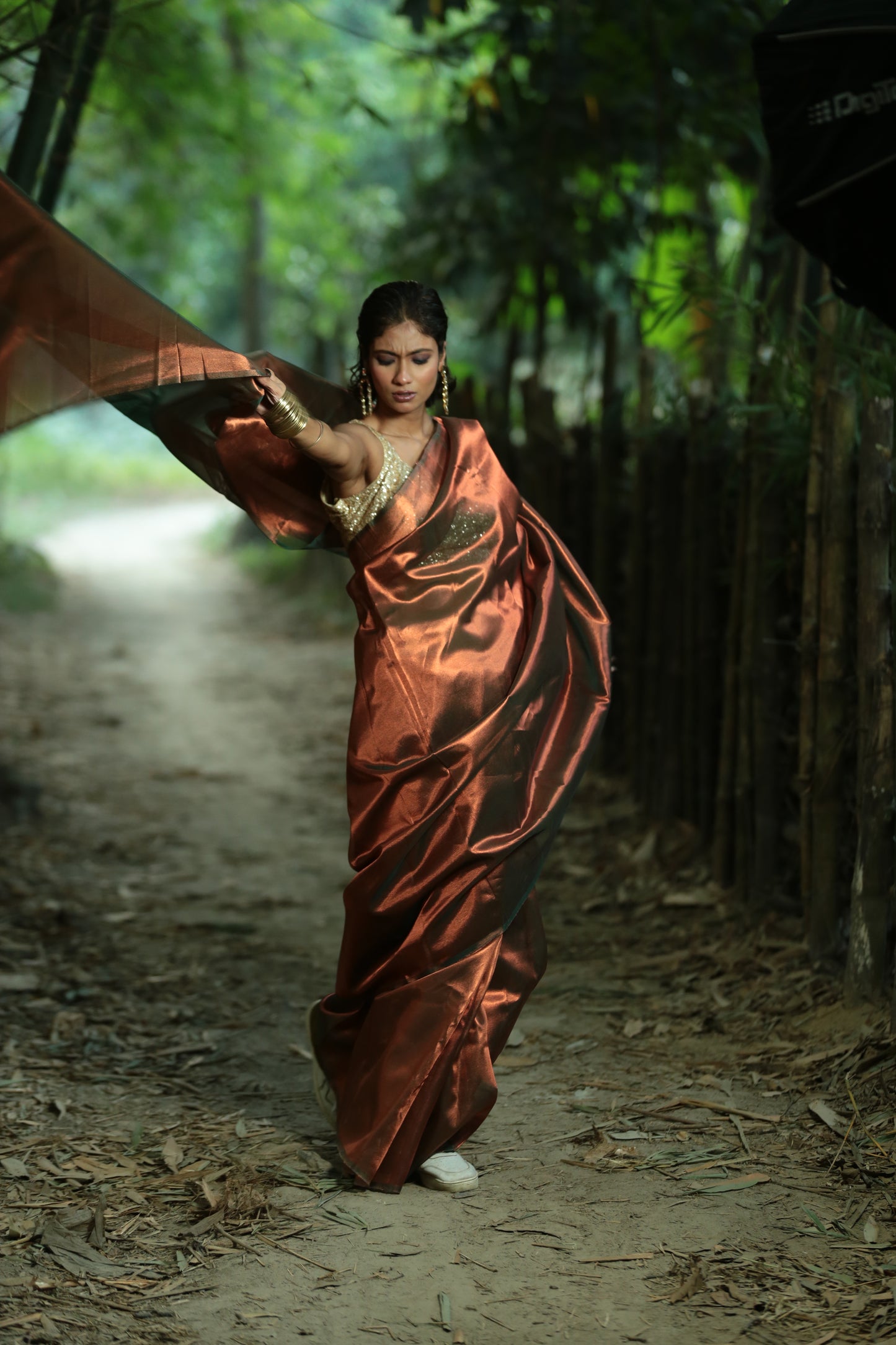 Zara Sa Jhoom Loon - Tissue Saree